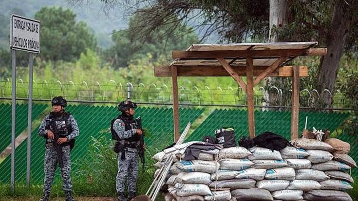 La guerra dell’avocado: le minacce dei narcos per controllare l’export verso gli Usa