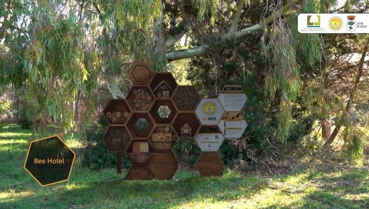Un hotel per api nel parco di Lecce: raccolta fondi per realizzare il primo apiario pubblico al Rauccio