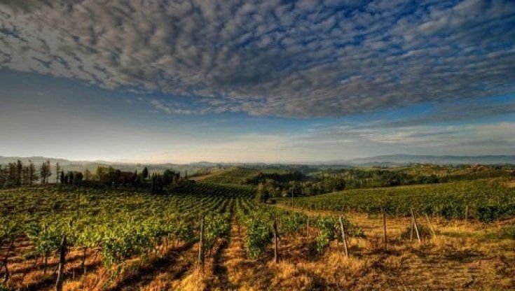 "Janare", nel Sannio un progetto per rilanciare il territorio con la viticoltura
