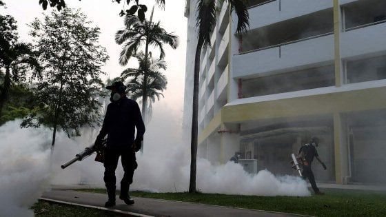 Virus Zika: un'ombra scura si estende sulla città del sole