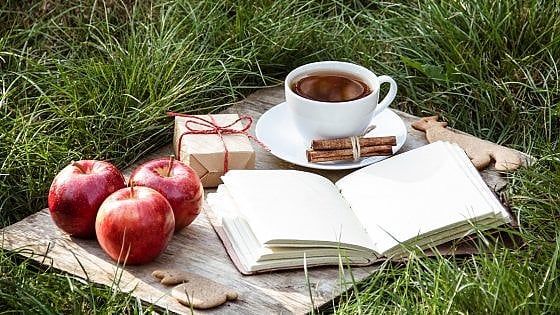 Diario di una mela. Capitolo 2: io e Antonio