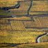Francia. Lo show dell'autunno in Alsazia
