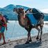 Tamara Lunger: “Sul K2 ho perso il mio amore. Sono rinata su un cammello in Mongolia”