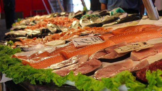 Polpo del Vietnam e vongole turche: ecco l'elenco dei pesci "taroccati"