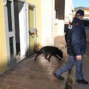 Potenza, droghe e minori: controlli della polizia nella villa di Santa Maria e alla Stazione superiore