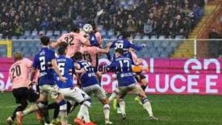 Sampdoria, quanti rimpianti nel pari con il Palermo. Gregucci: “Ora siamo una squadra vera”
