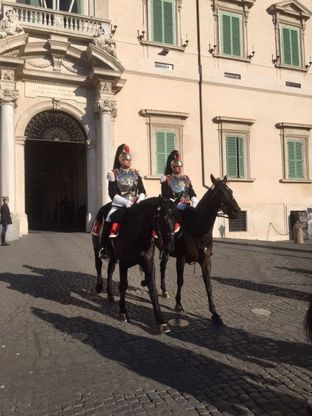 Quirinale, dalla Puglia i nuovi cavalli dei corazzieri