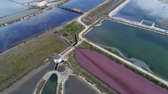 Un fiume rosso di liquami nell'area protetta delle saline di Margherita di Savoia: 5 indagati