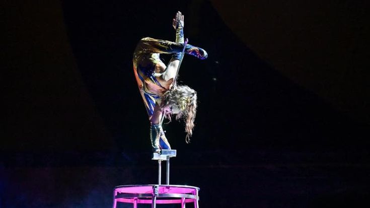 Paraplegica dopo una caduta dal trapezio, la nuova vita di Silke Pan: “Così sono tornata a volare”