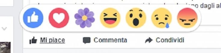 Un fiore viola per la Festa della mamma: ecco il regalo di Facebook 