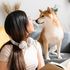 Il tuo cane ti sbatte le palpebre? È per dirti che...