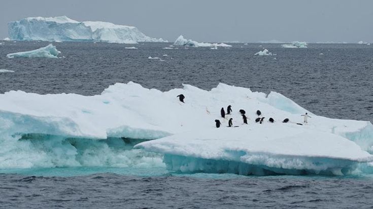Estate dei record, dieci grafici per spiegare il cambiamento climatico