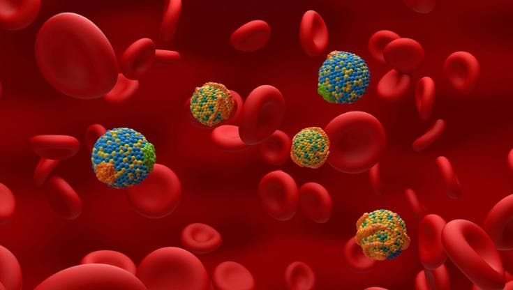 Più rischi di infarto nelle donne se una proteina è troppo alta