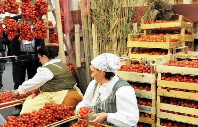 Bioplastiche da pomodori, Ford lancia la sfida
