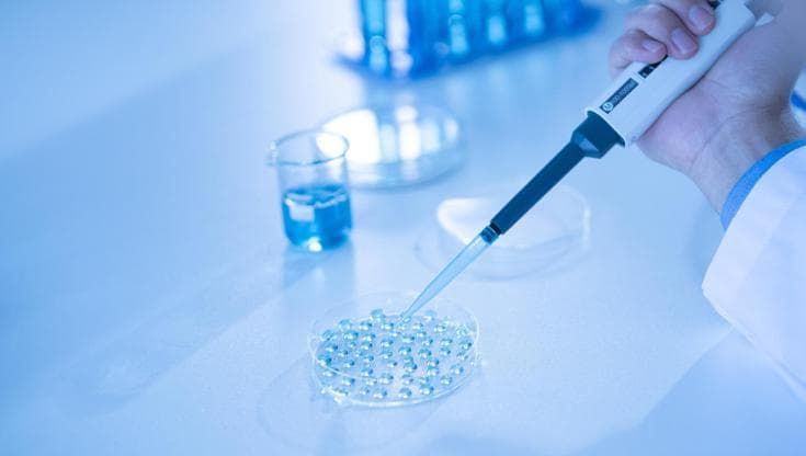Ecco come il caldo estremo e continuo danneggia la fertilità maschile