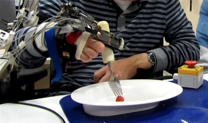 Viaggio tra i robot del Mecspe