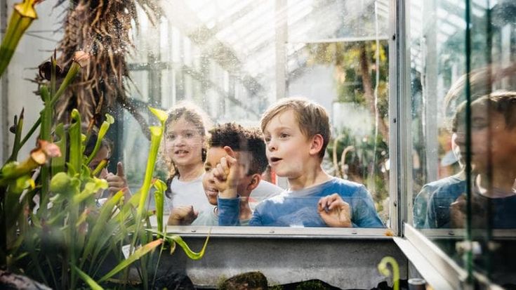 Biomimesi: 113mila studenti in tutta Italia vogliono imparare ad “agire secondo natura”