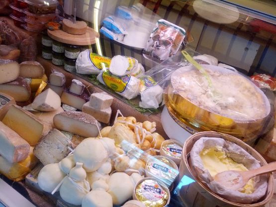 [[ge:rep-locali:rep-napoli:83353727]]Eccellenze italiane<br />nel cuore di Chiaia<br />&nbsp;