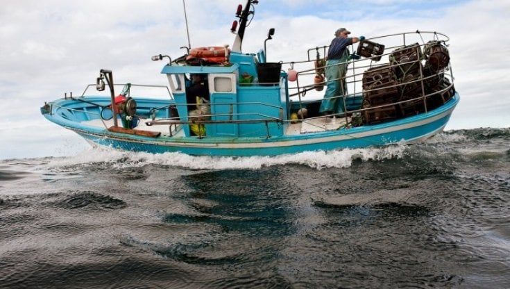 L'Italia difende i mari dalla pesca intensiva: arriva la "Zona economica esclusiva"
