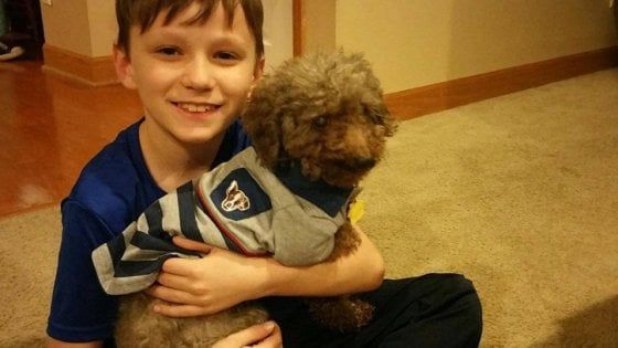 Bimbo adotta il più vecchio e malato dei cani del rifugio, la bella storia di Tristan e Shey