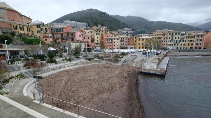 Nervi, porticciolo invaso dalle alghe: i pescatori hanno le barche bloccate