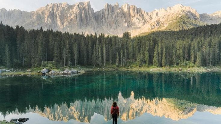 Il vocabolario per gli amanti della natura