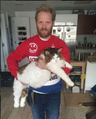 Altro che cucciolo. Ecco Sansone, il gatto più grande di New York