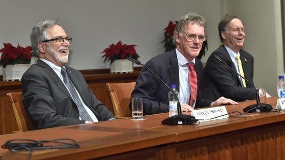 I Nobel per la medicina 2019: "Dai sensori dell’ossigeno nuove cure per anemia e cancro"