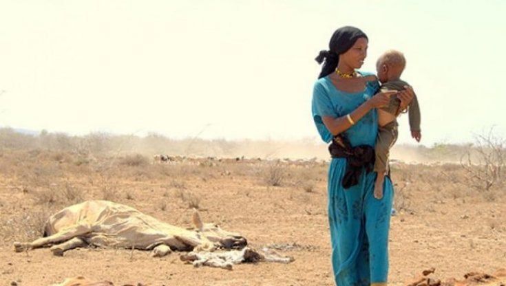 Africa, 106 milioni di persone senza cibo: le situazioni più gravi in Etiopia, Sud Sudan e Madagascar  