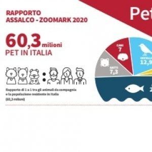 Animali domestici e coronavirus: la scatoletta del gatto è importante quanto il pane