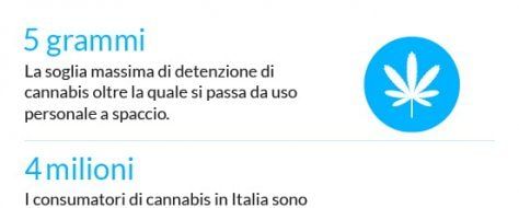 L’uso di marijuana in Italia e nel mondo: i dati 