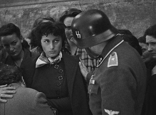 Com'&egrave; bello sul grande schermo il cinema del passato