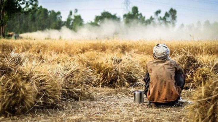 L’accaparramento delle terre: sottratti 110 milioni di ettari ai Paesi del Sud del Mondo
