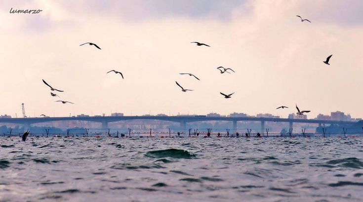 Taranto, lo skyline sul Mar Piccolo è da cartolina