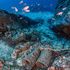 Clima, il grido d’allarme del mare malato