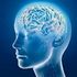 La tecnica che accende i neuroni con un 