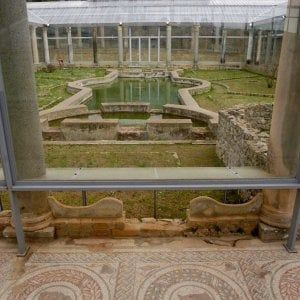 Caro assessore, perché non conviene aprire i musei?