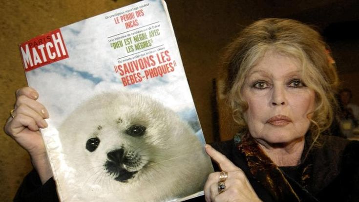 L’eredità di Brigitte Bardot destinata agli animali, ma al figlio deve andare la metà