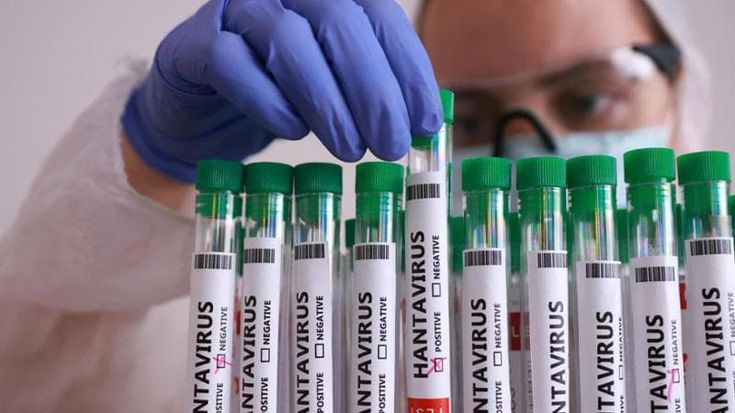 Hantavirus: negativi i test dei casi sospetti in Italia. Francia, allarme per Norovirus su una nave