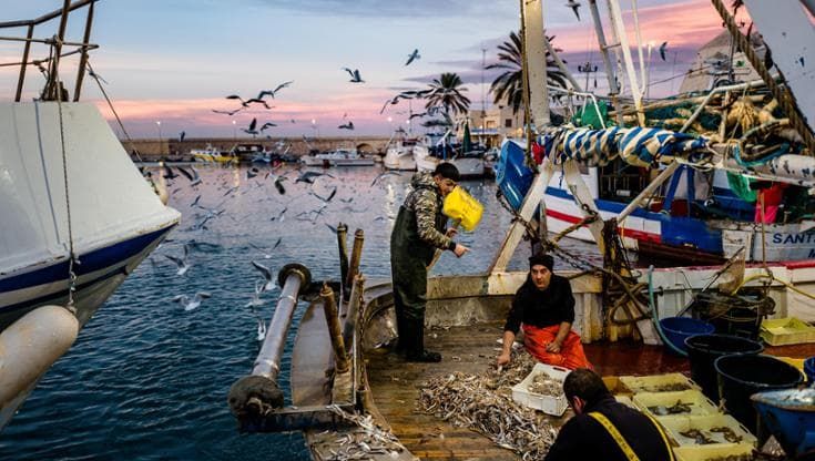 Pesca in Puglia, un evento per valorizzare un settore da 225 milioni di euro l’anno