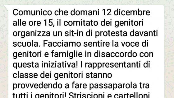 Scuola, i genitori di Bari si convocano su WhatsApp: "Fermiamo le occupazioni"