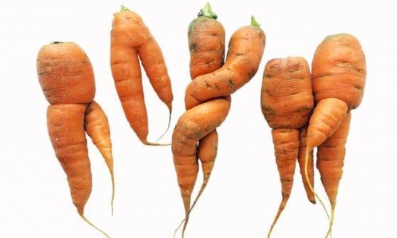 Dagli scarti vegetali un aiuto contro le infezioni