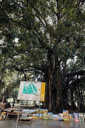 Giardini pubblici e ville private, il verde che colora le città