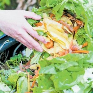 Scarti di cibo, l'incerto destino di una miniera di carbonio in bilico tra risorsa e minaccia