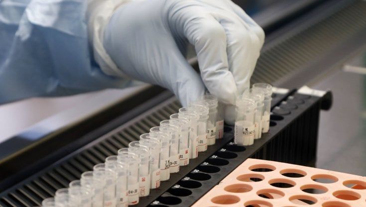 Covid, due task force per studiare le origini del virus