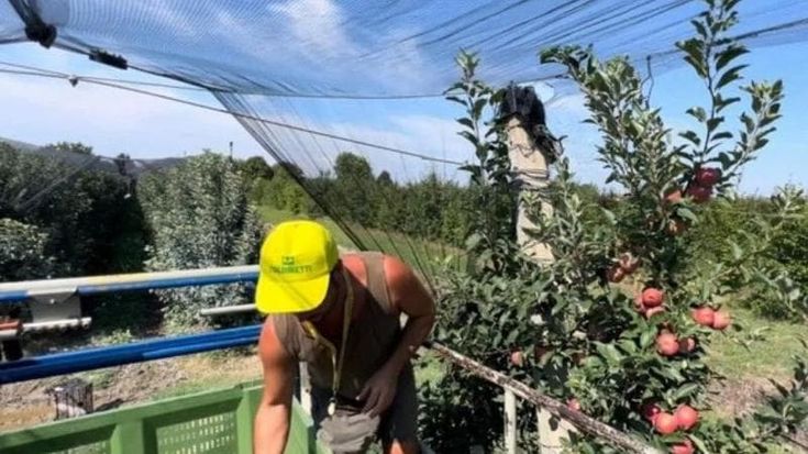 L’onda delle imprese gestite da stranieri. In agricoltura è +28%