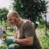 Imprese sociali italiane, metà svolgono attività e hanno la loro sede nel Mezzogiorno