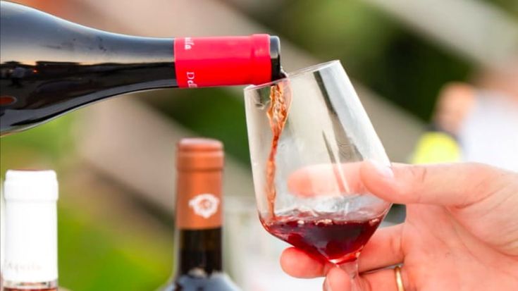 Calabria meravigliosa tra due mari: 10 vini per raccontarla
