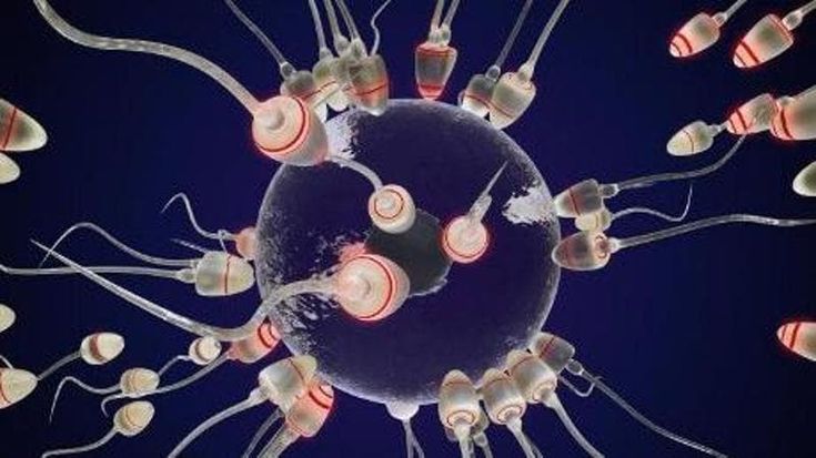 I padri più anziani trasmettono geni difettosi alla prole