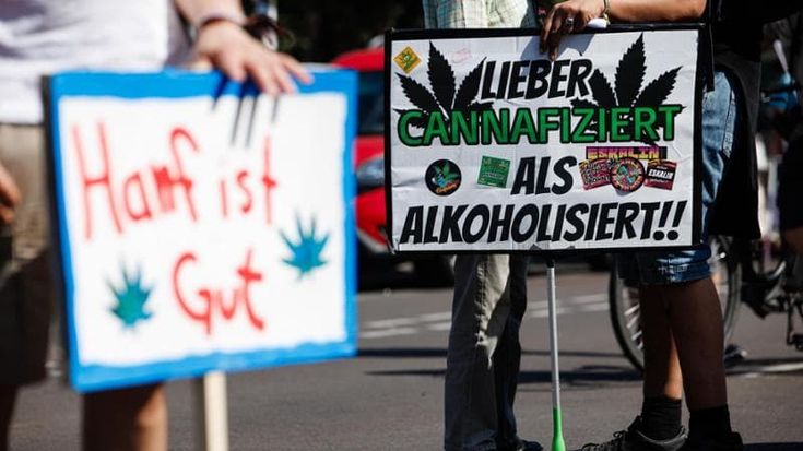 Cannabis legale, la Germania è diventata il più grande mercato Ue. Ma il governo Merz non ci sta...